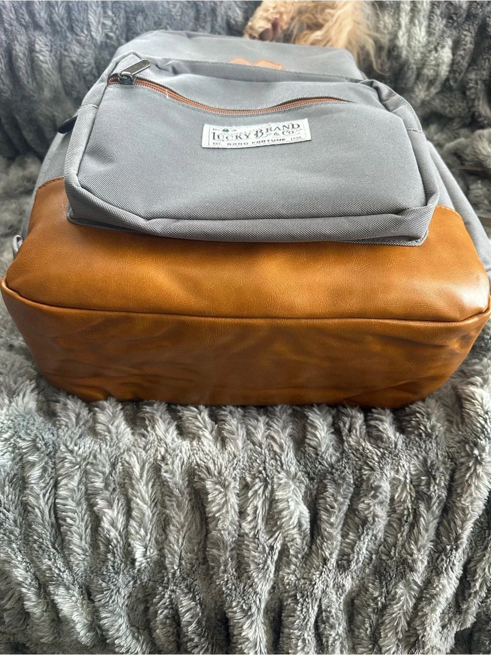 Lucky Brand clover logo stylish
